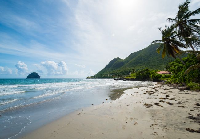 Maison à Le Diamant - Villa Les Oliviers 4ch Maison à Le Diamant - Villa Les Oliviers 4ch